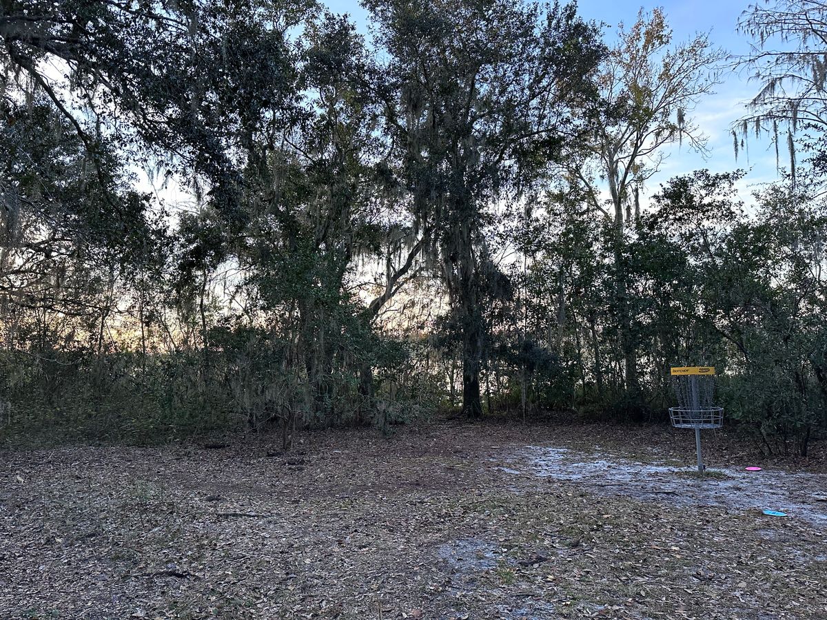 Hole 7 golds