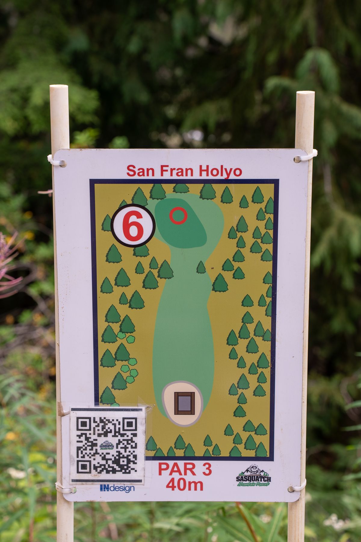 Hole 6