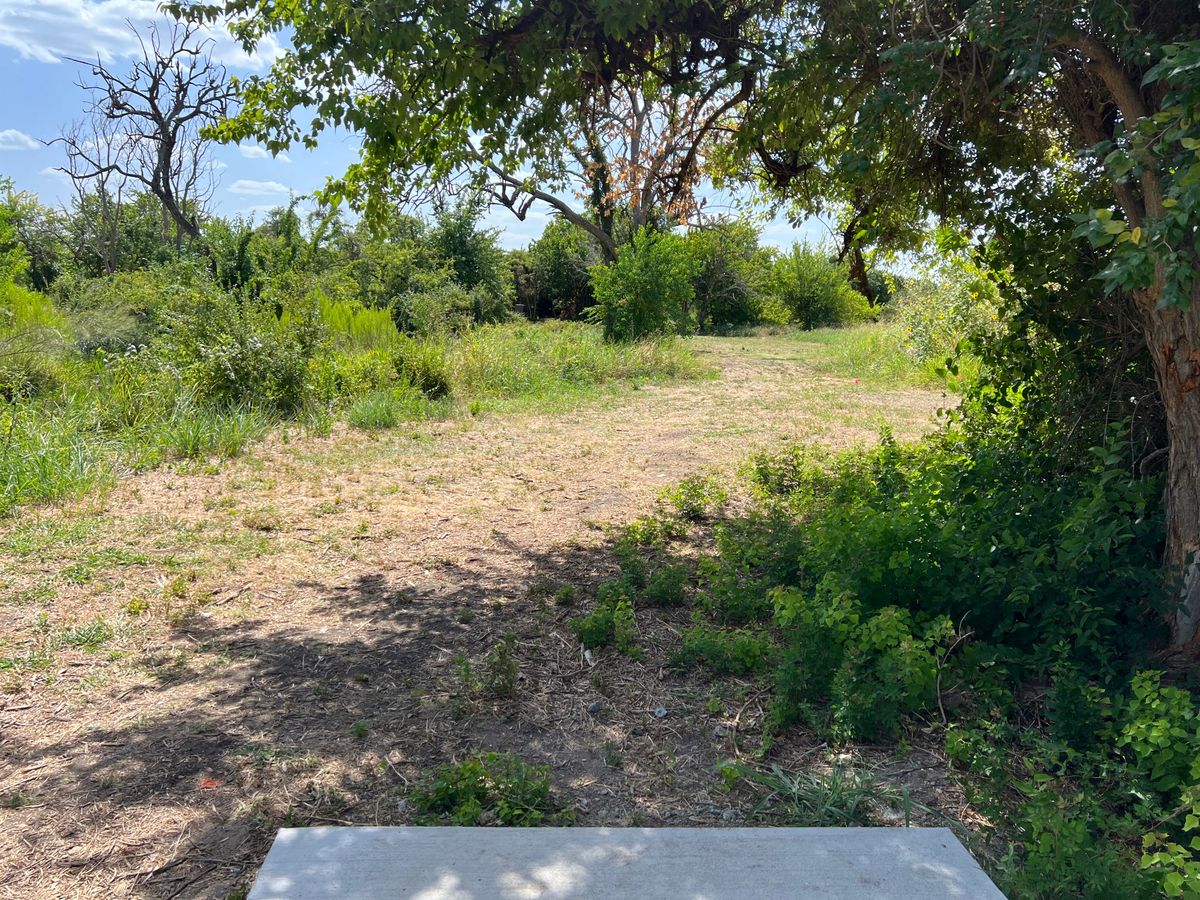 Hole 11 tee