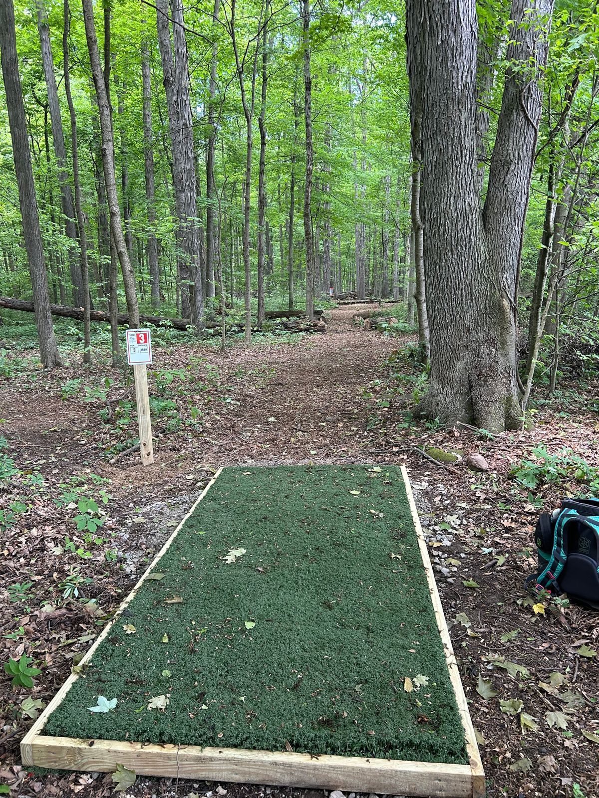Hole 3 192ft par 3