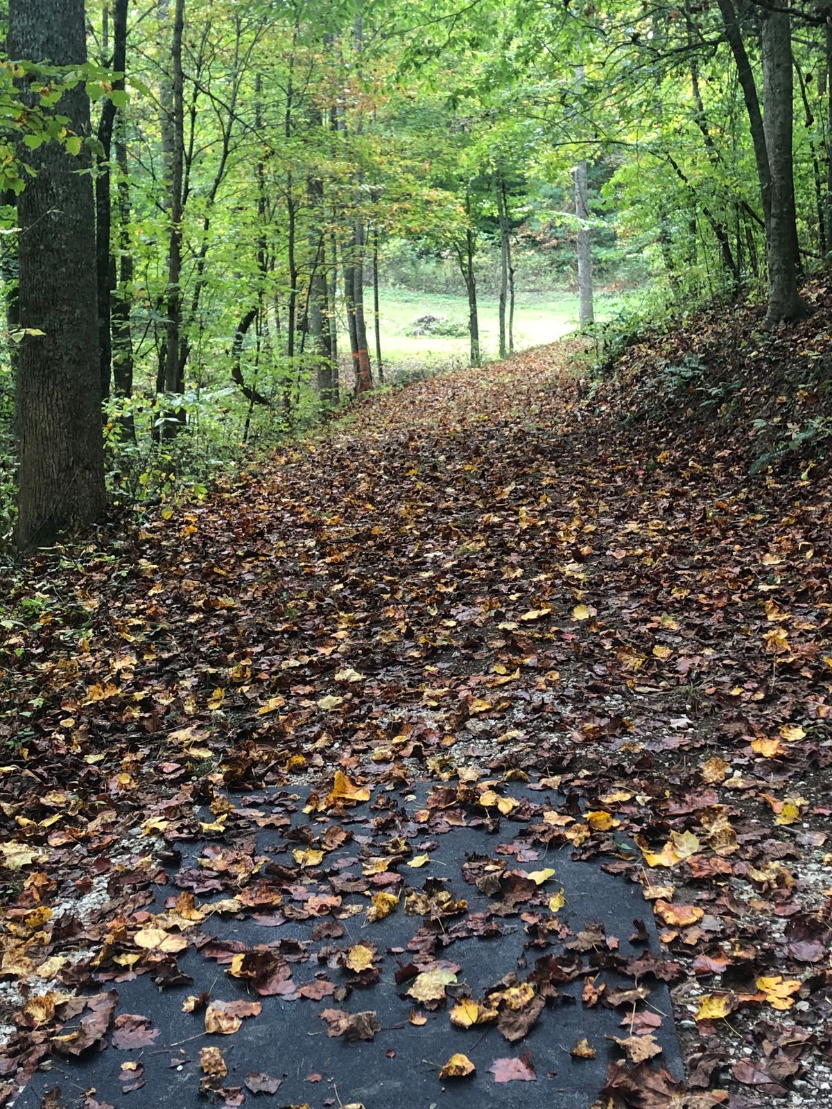 Hole 14’s Tee pad. With a nice mando playing straight then a little left.