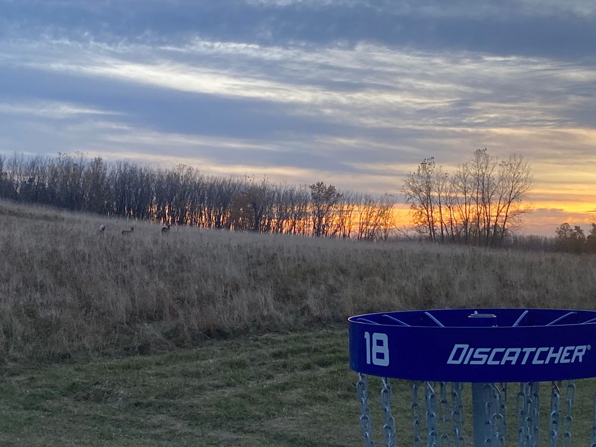 Oh deer, what a sunset on 18 at Maumee Bay State Park Disc Golf Course.