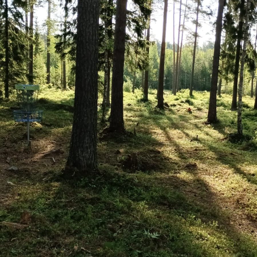 Väylä 18 korin takaa katsottuna teeboksia päin