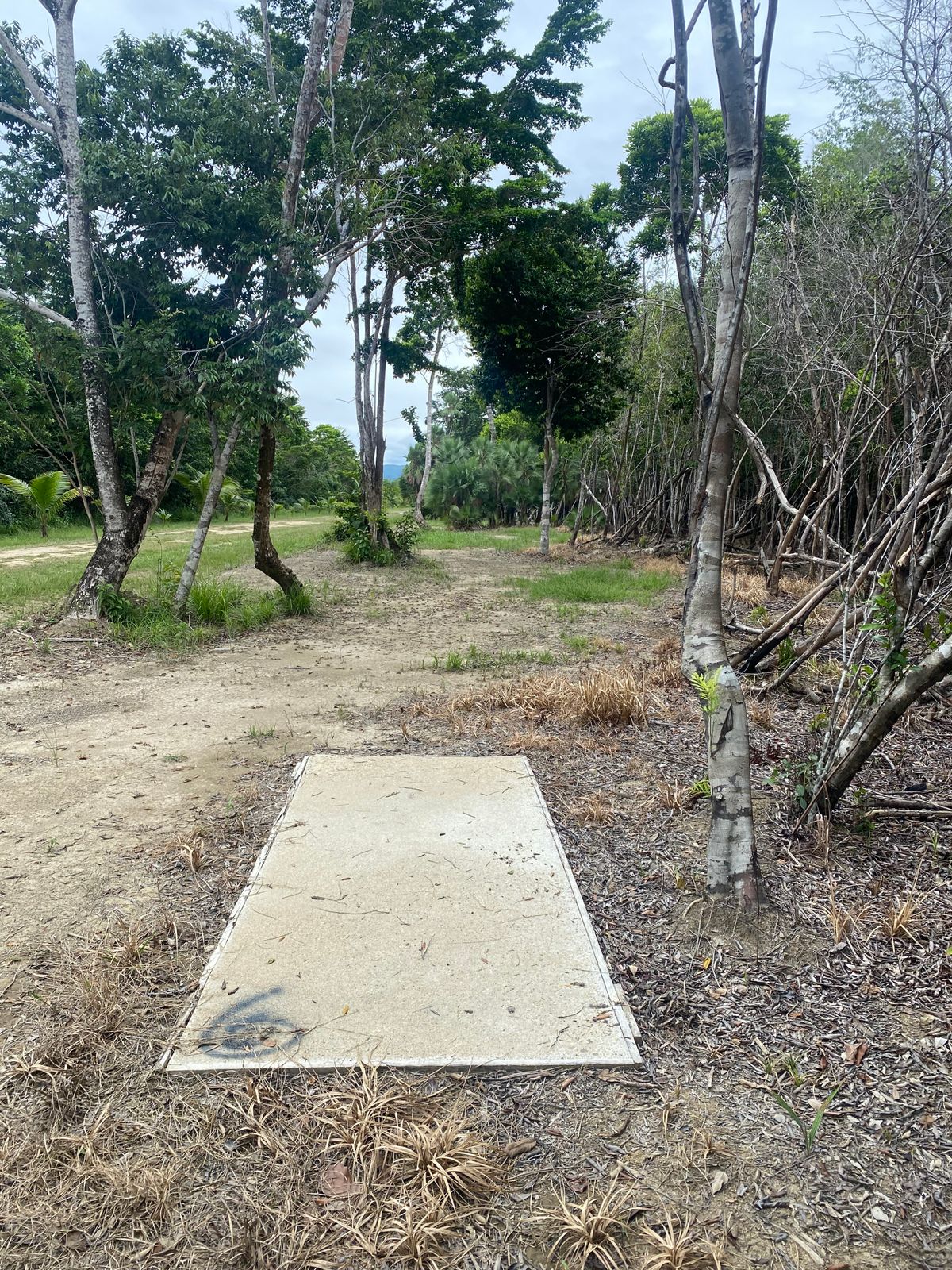 Hole 6