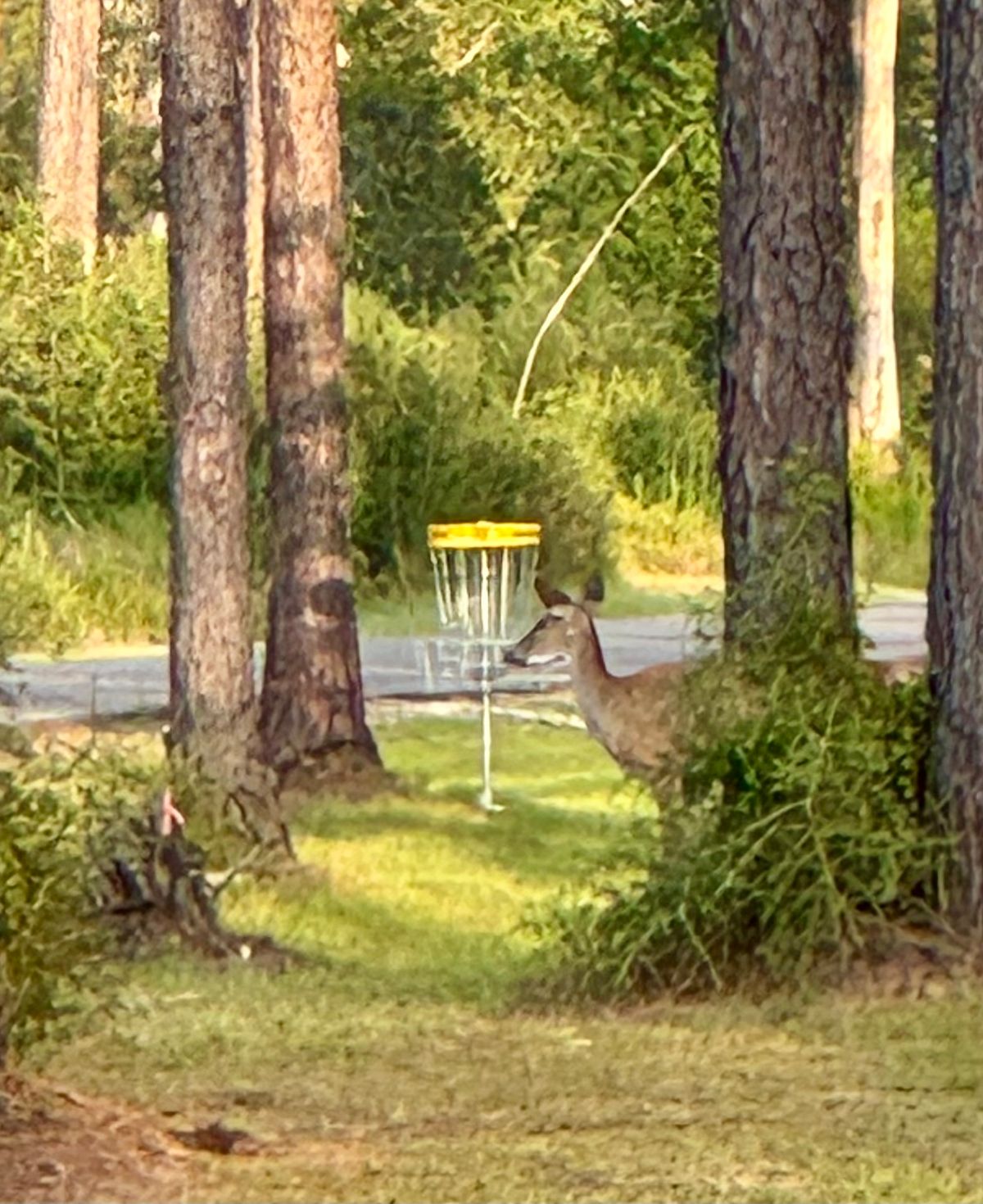 Hole 10