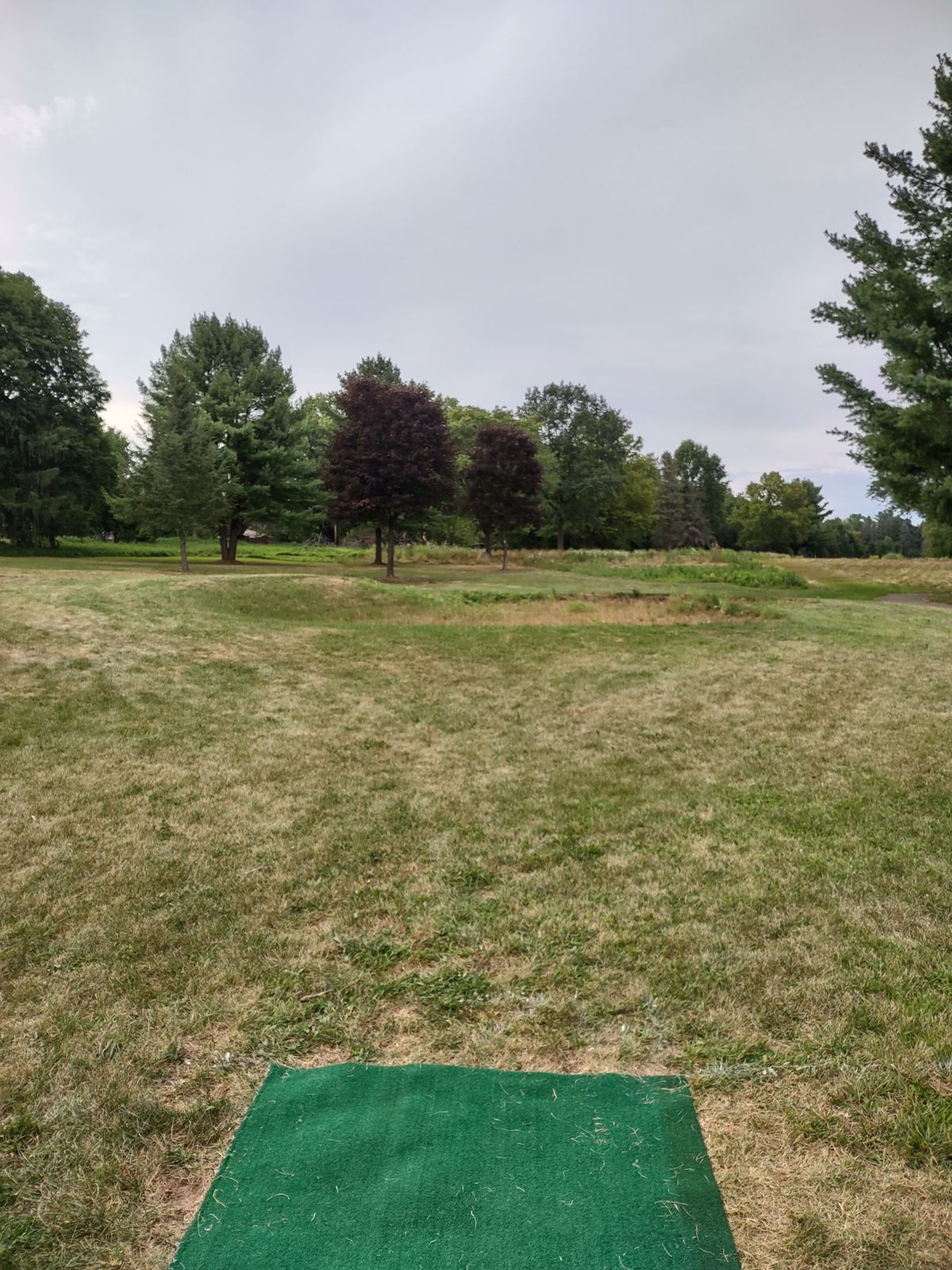 Hole 7 tee
