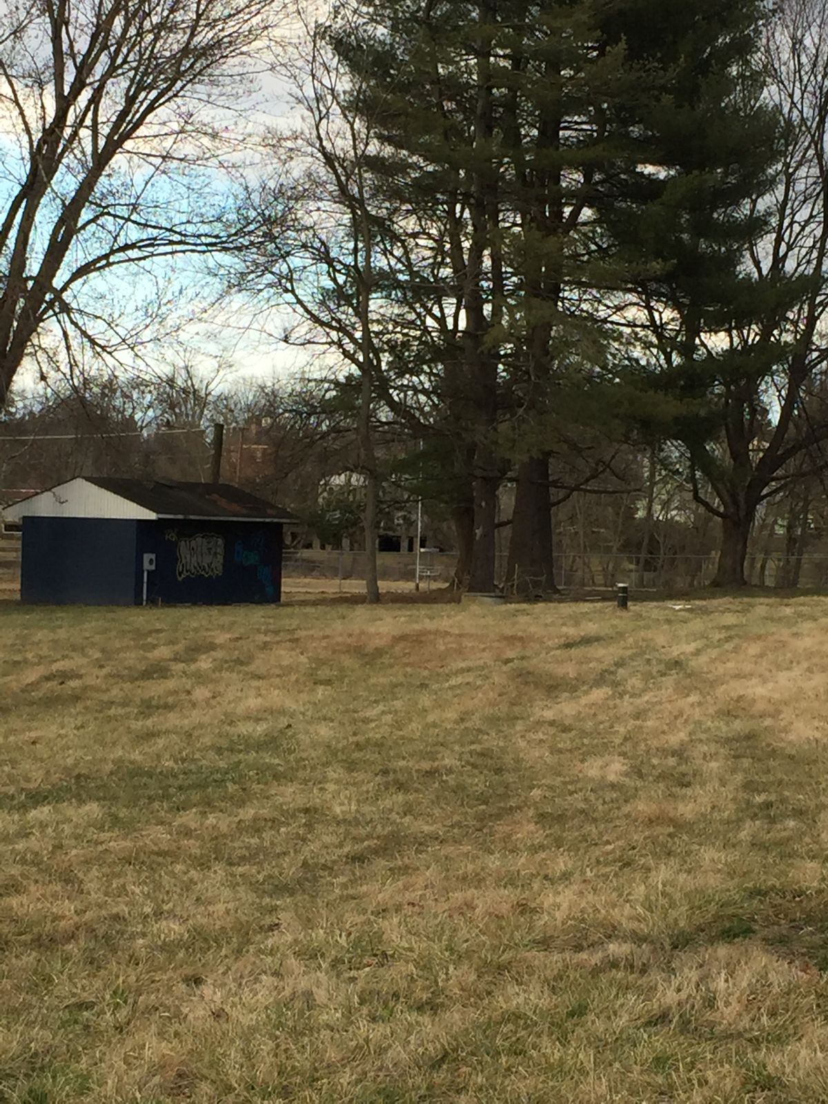 Hole 11 - basket to the right of shed