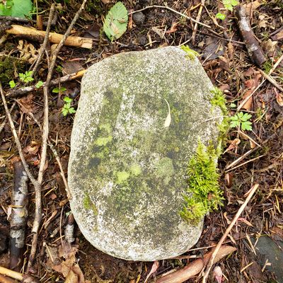 Some tee markers hard to find due to fading paint and moss growing on the stones.
