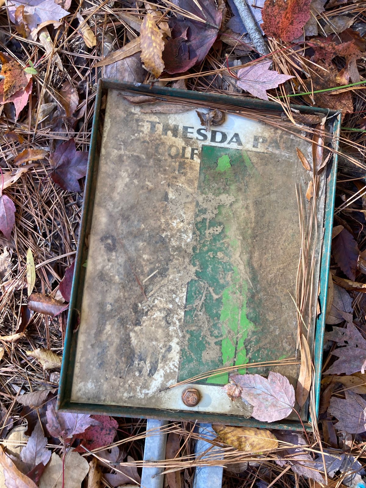 Hole 8 signage?
