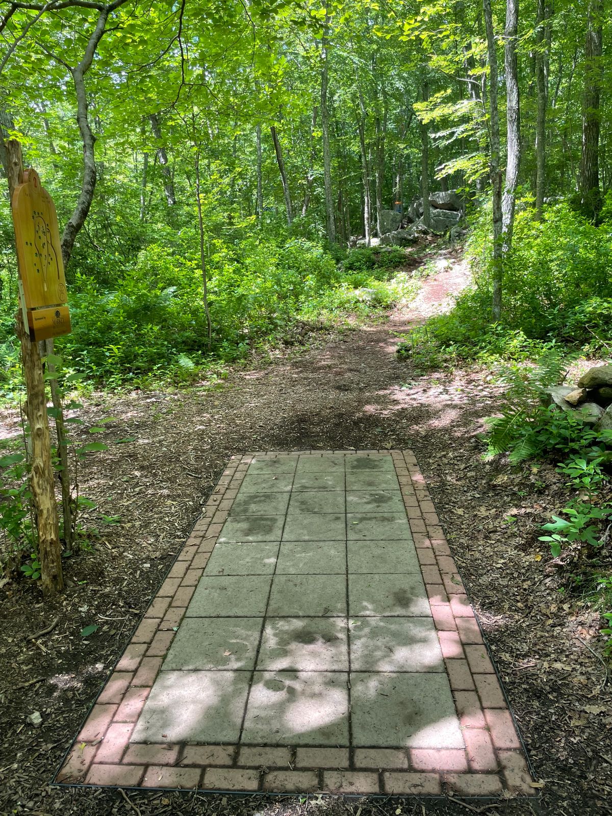 Hole 1 tee pad