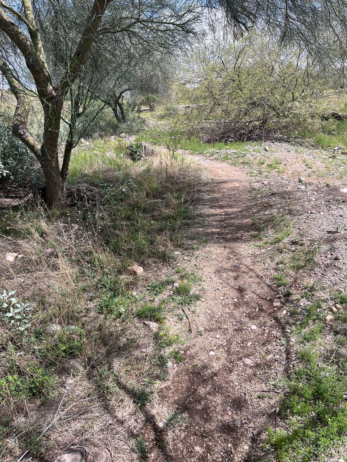 Beautiful walking trail to next whole