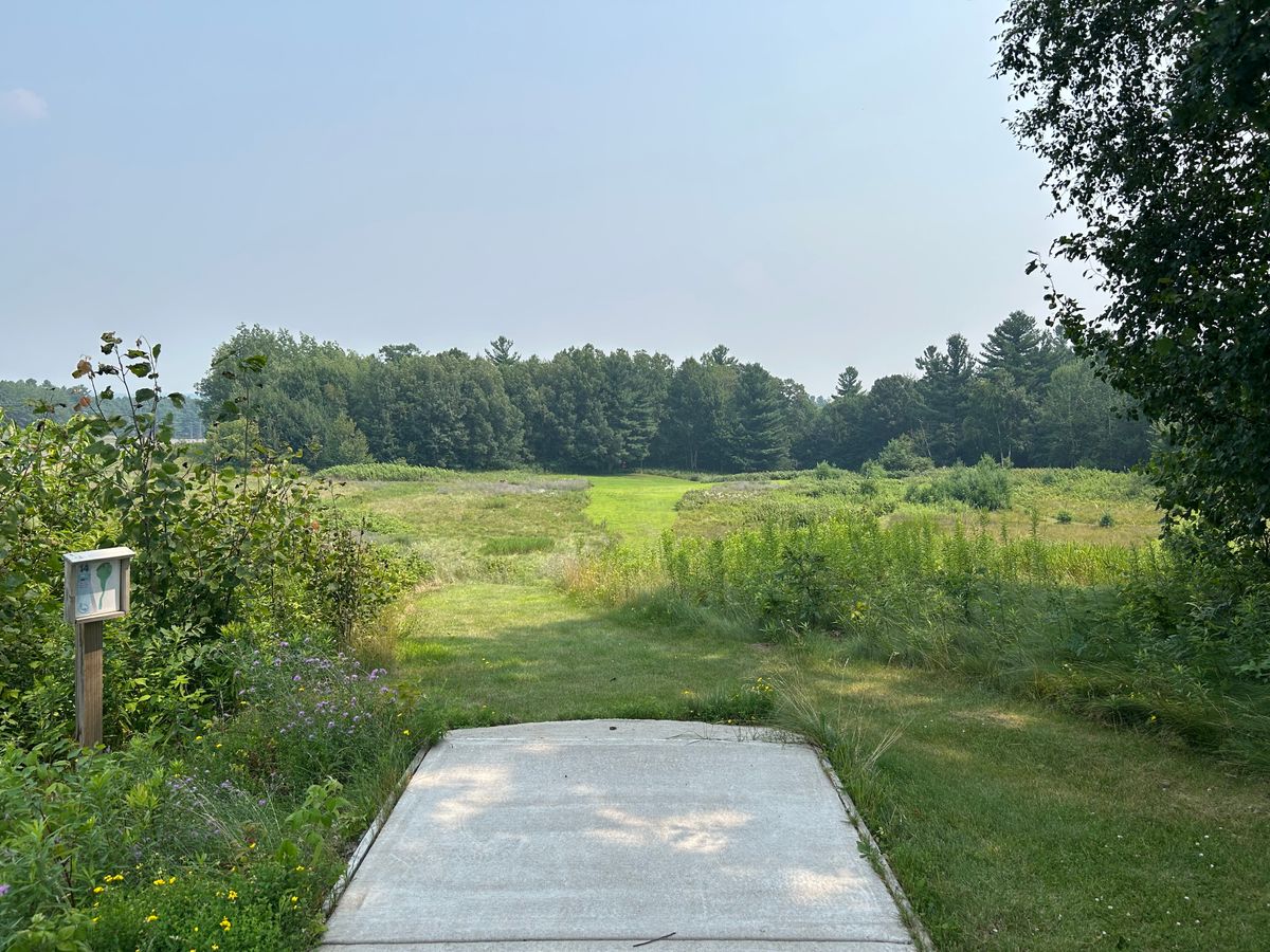 Gorgeous hole 14, 500+' par 3, wildflower meadows surround a narrow, nicely manicured fairway.