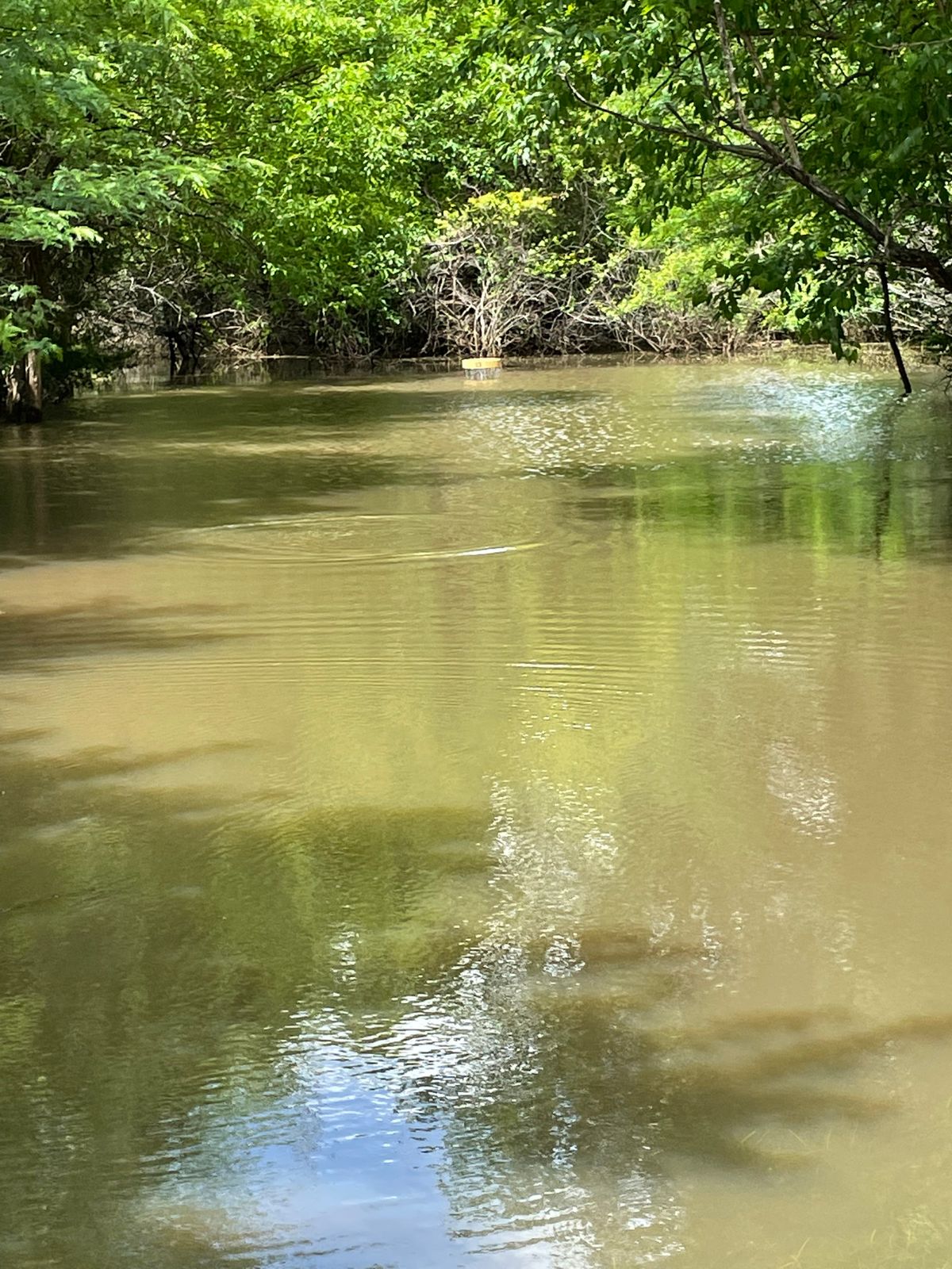 13 is still under a lot of water.