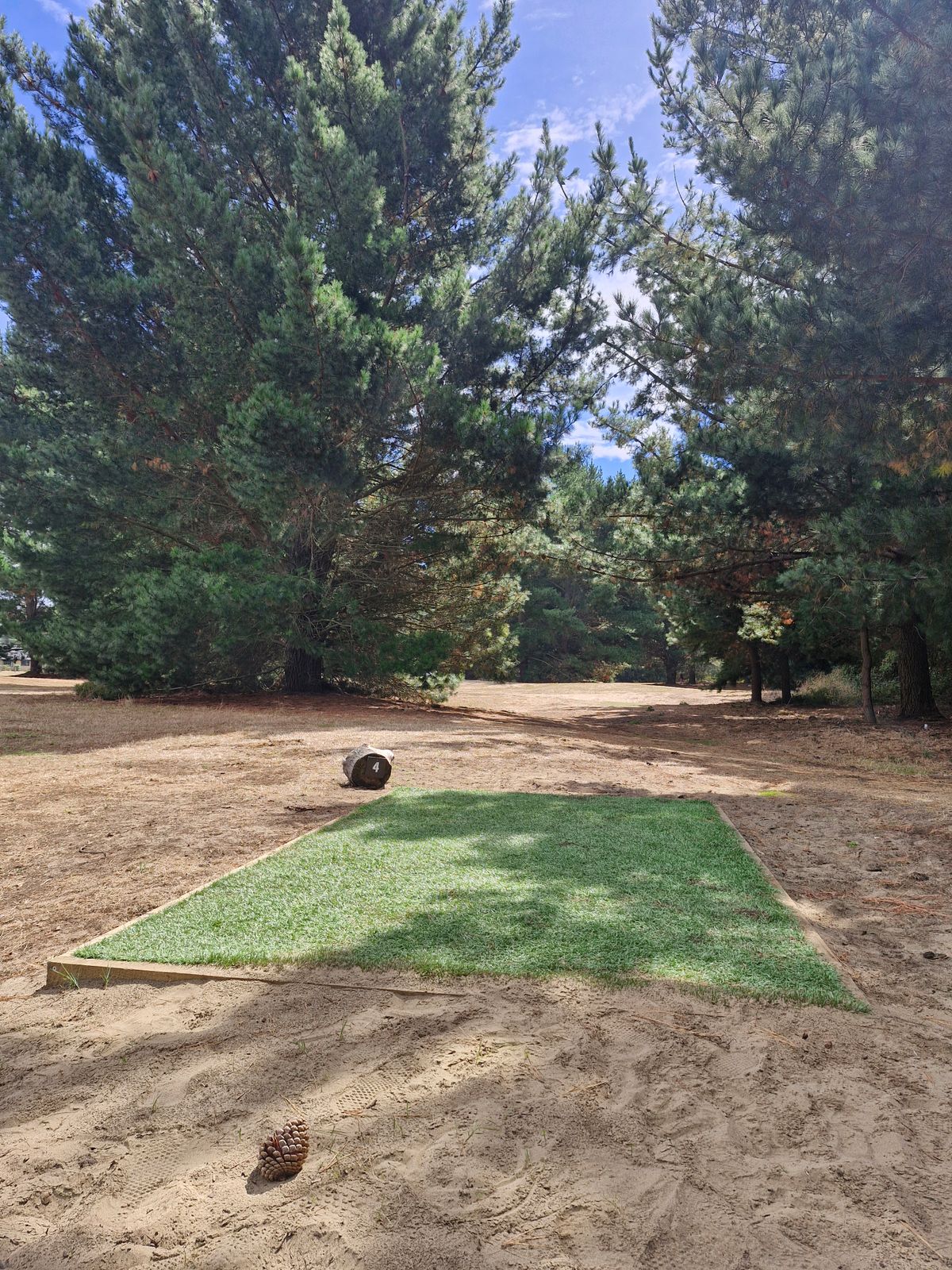 4s tee pad. The typical turf tees amongst the sandy pine forests