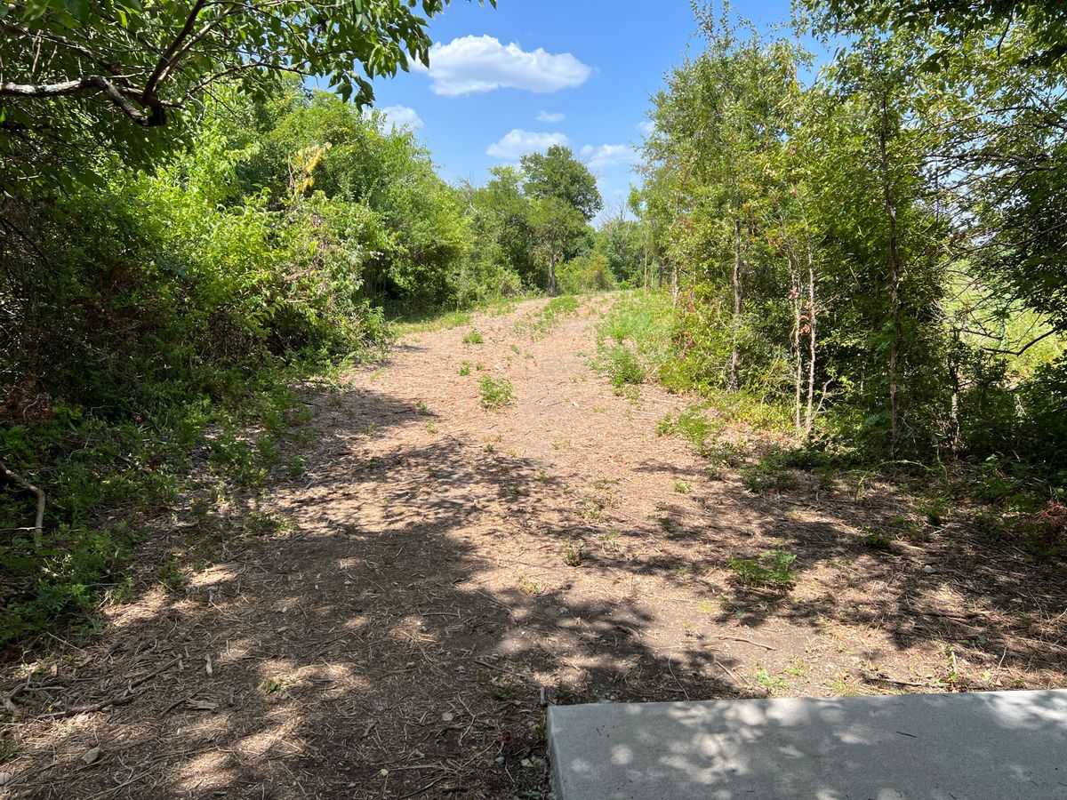Hole 8 tee
