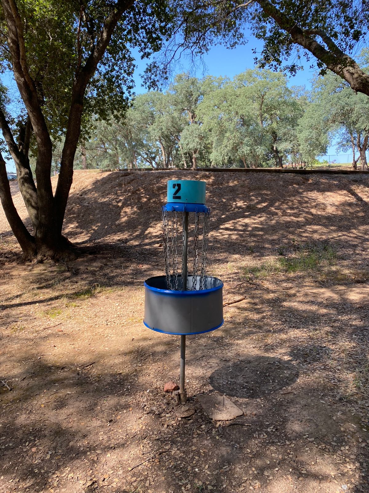 Homemade baskets are very similar to a marksman size. Good for practicing your putting.