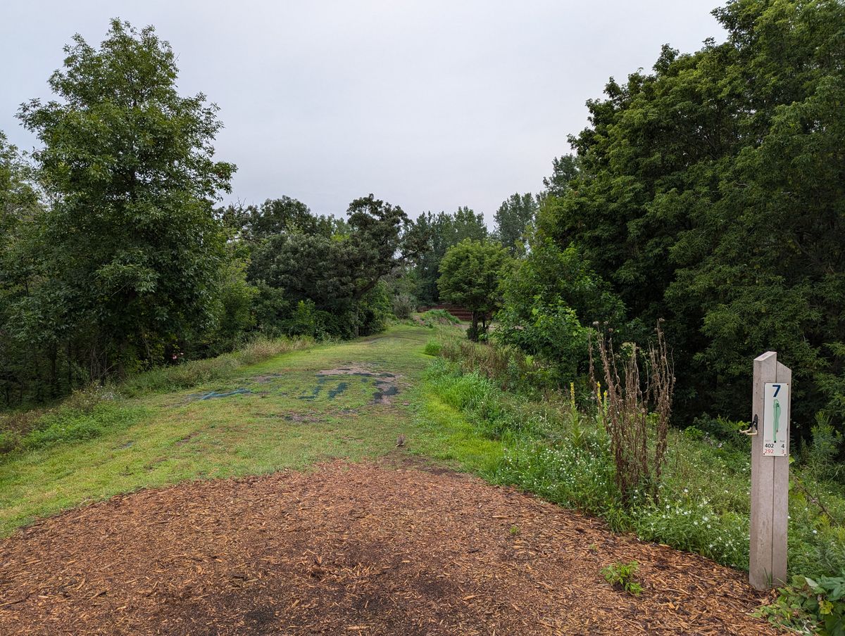 Hole 7 tee