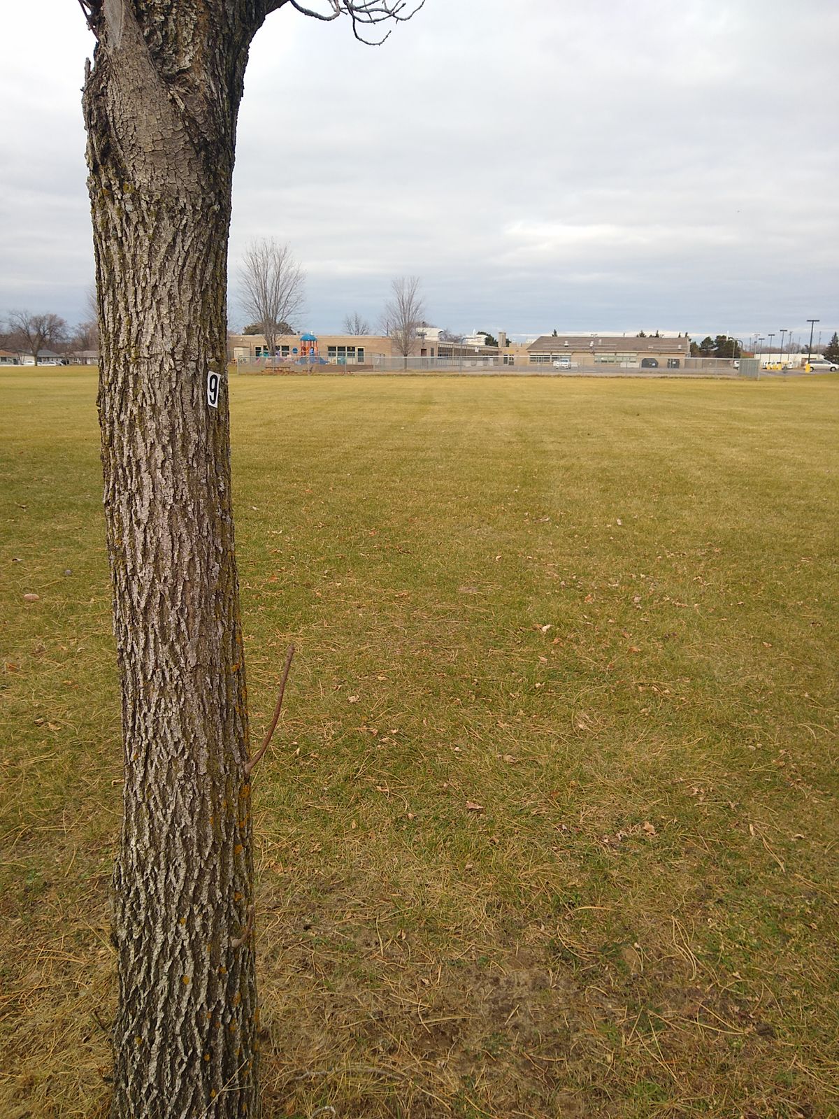 Hole 9, like hole 7 does not have a tee pad. The only marking is a number nine sticker on a tree.
