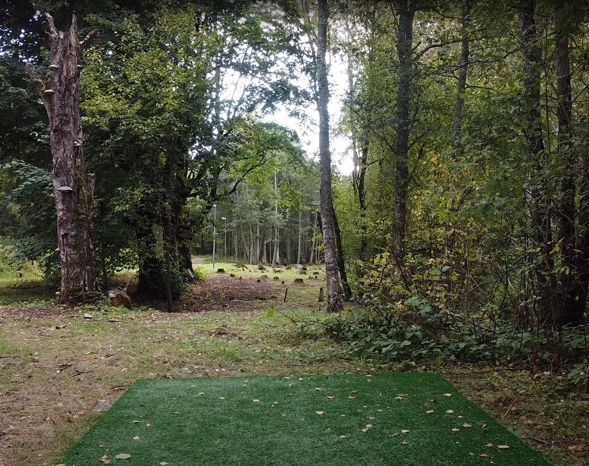 Hål 5 - Tee + Fairway