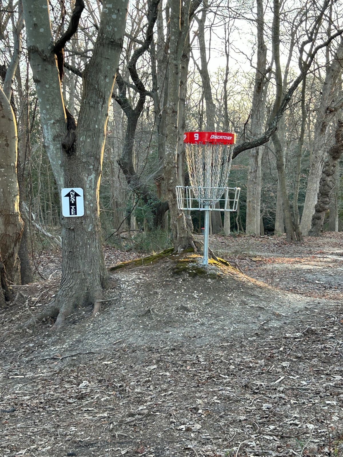 Basket 9 perched on a natural mound