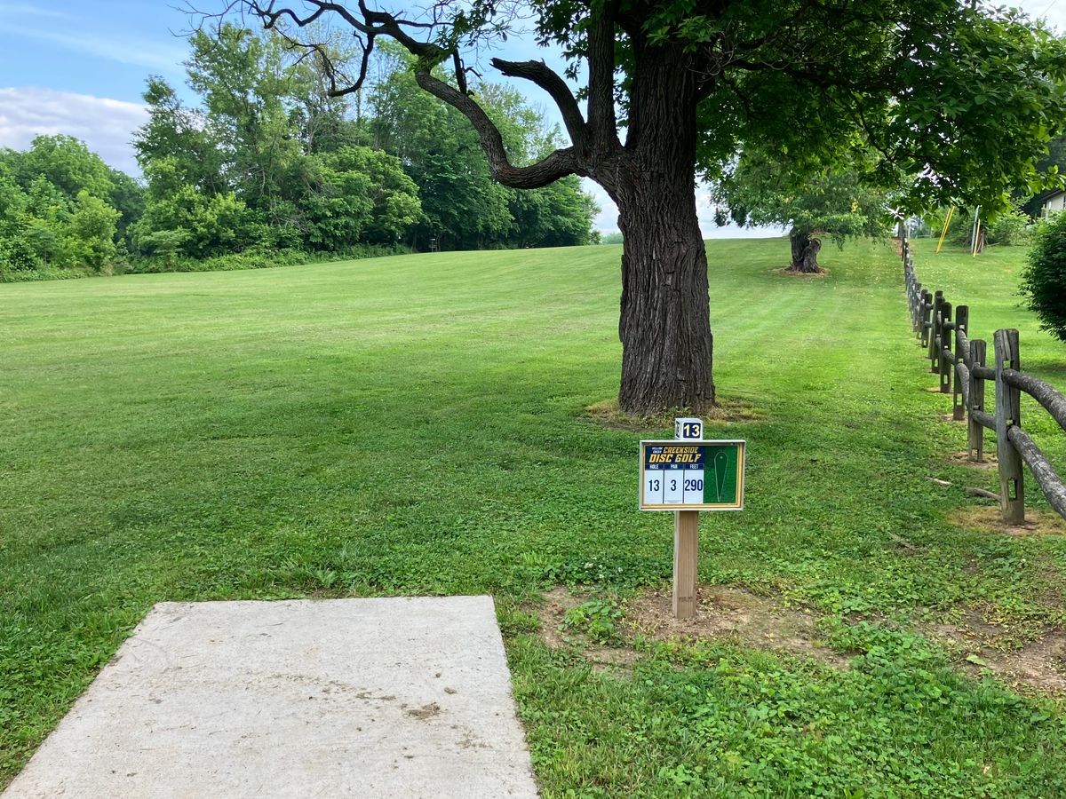 Hole 13 300’ uphill shot. Basket tucked under tree line.