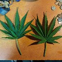 User avatar image