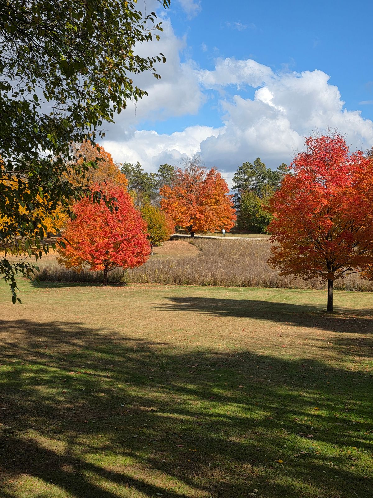 Absolutely stunning day