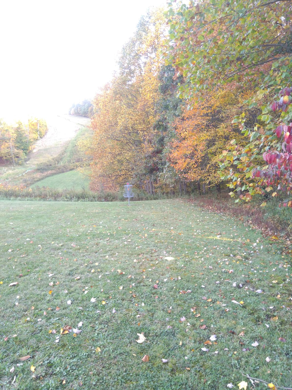 Hole #8 basket