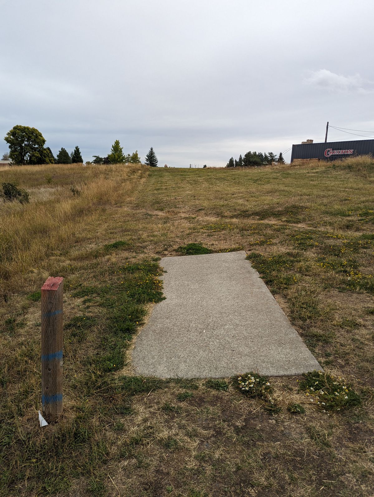 Tee pad #4