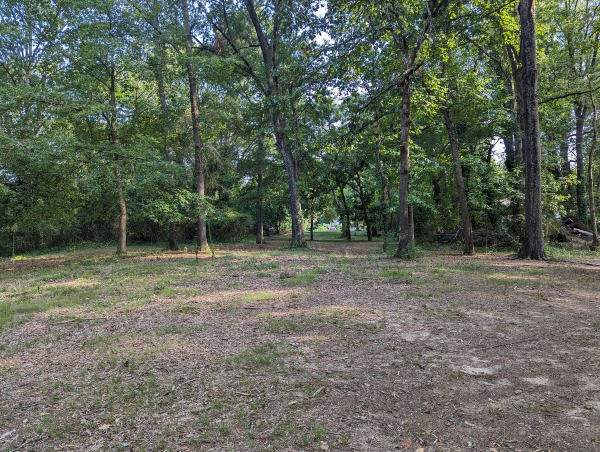 Fairway of new hole 16