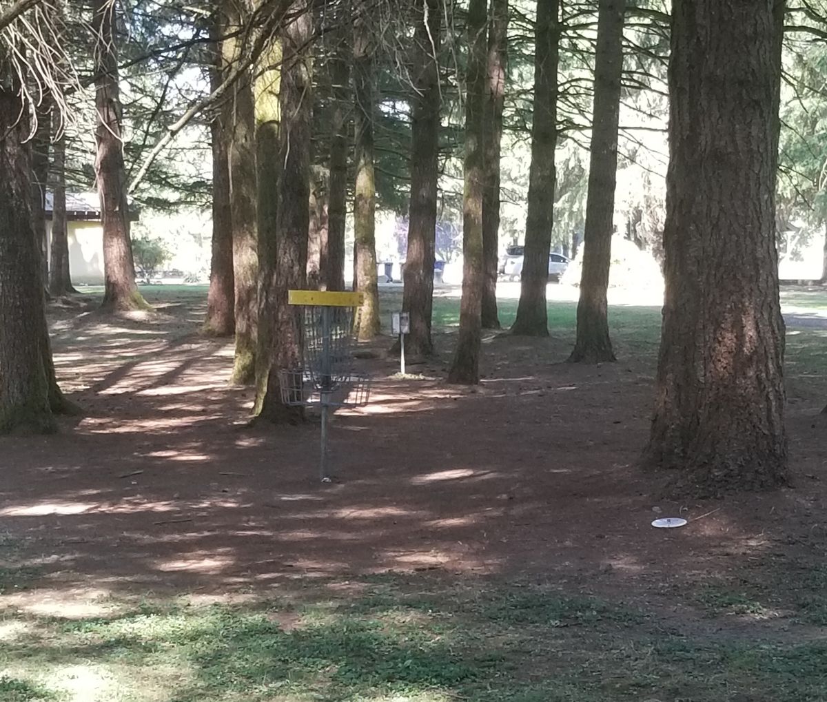 8th hole basket