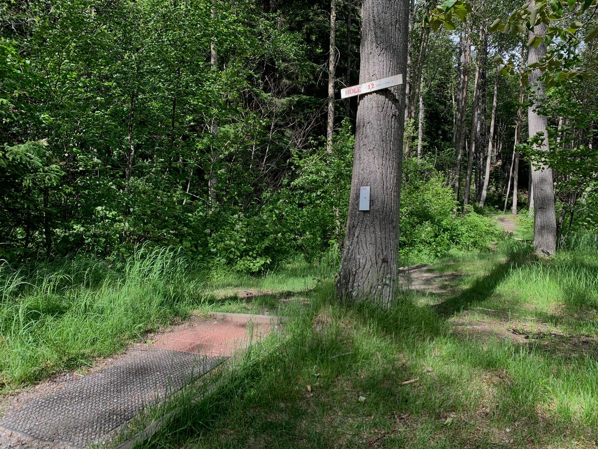 Hole 12