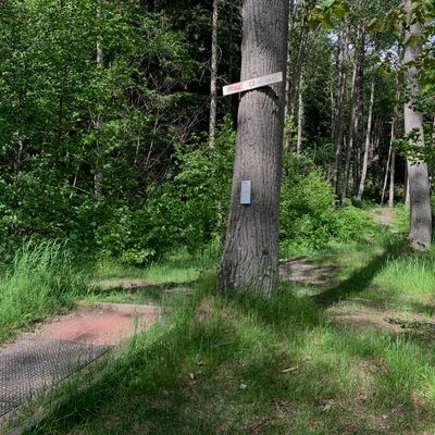 Hole 12