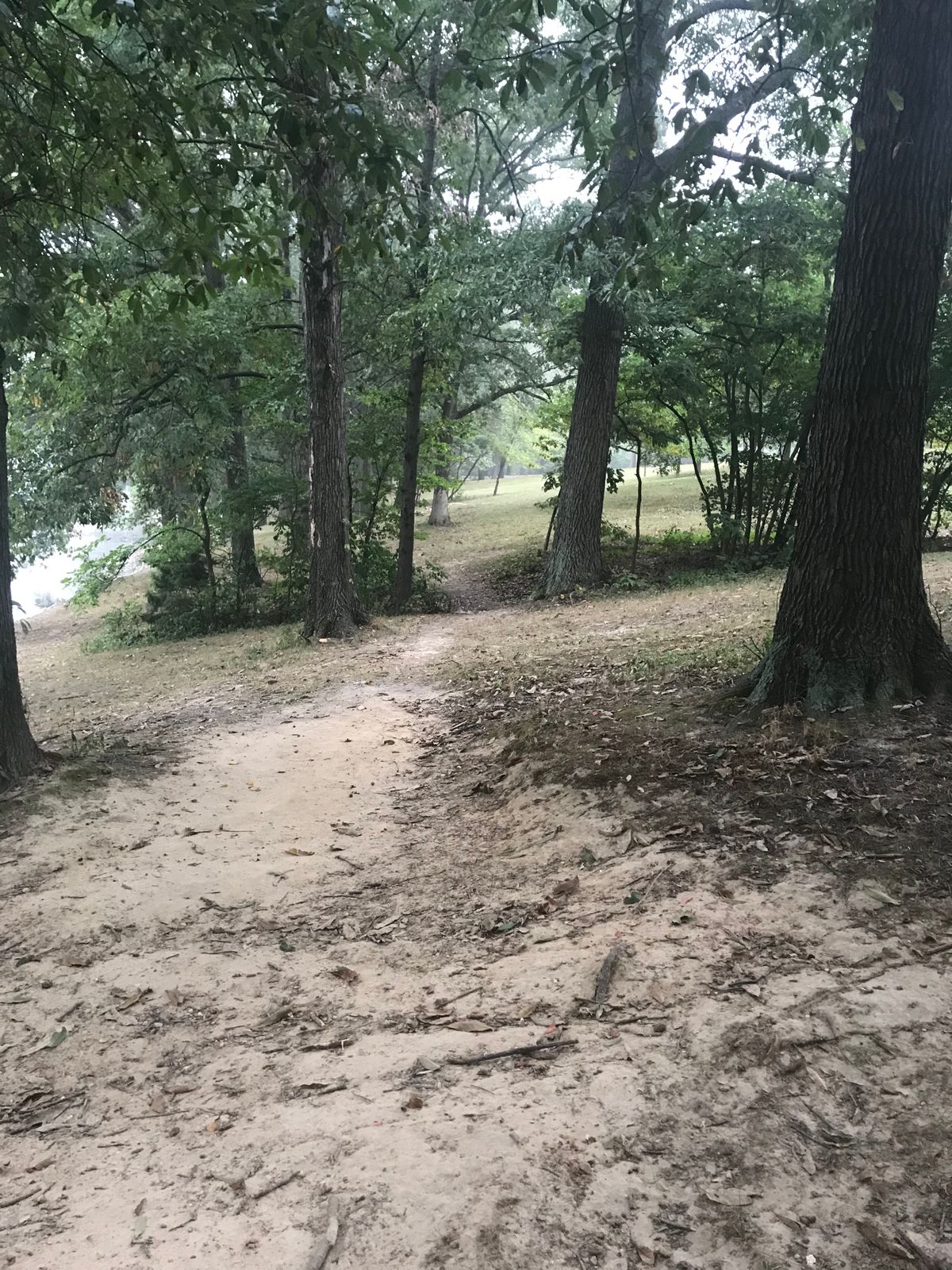 Incredibly obstructed, difficult hole.