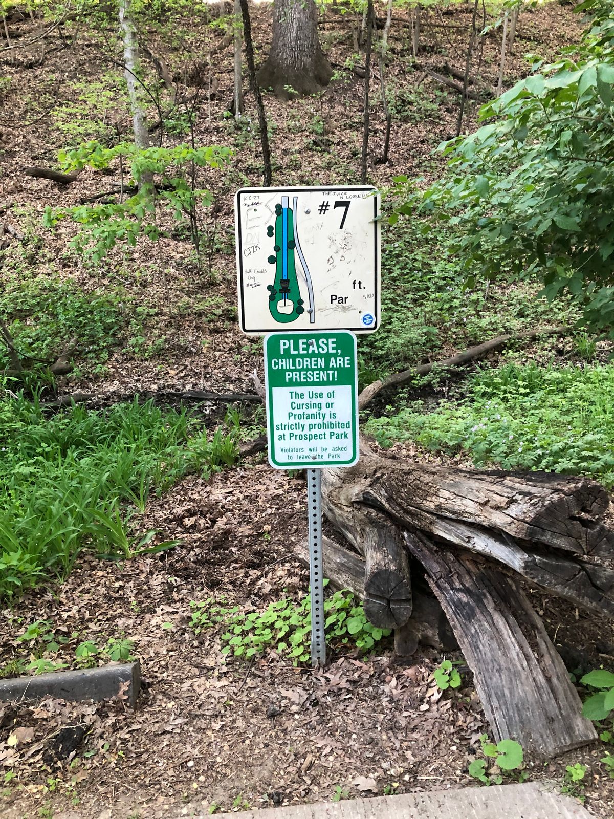Hole 7. Short par 3