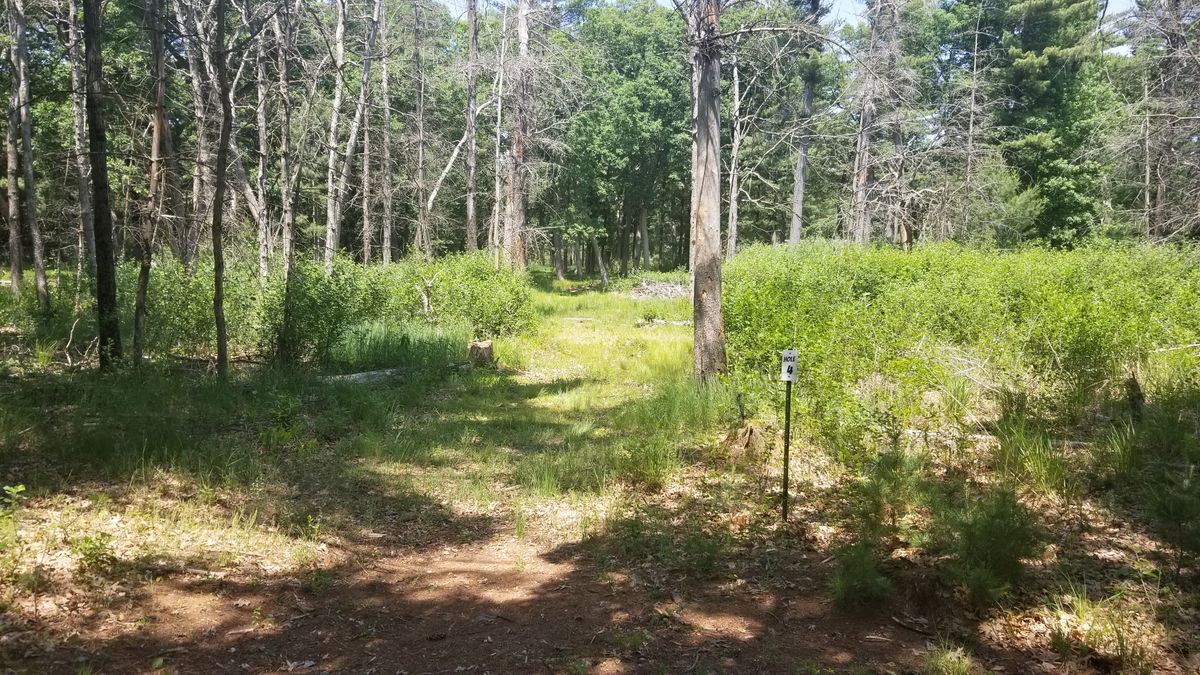 Hole 4 "The Boneyard" is a big dogleg to the right.