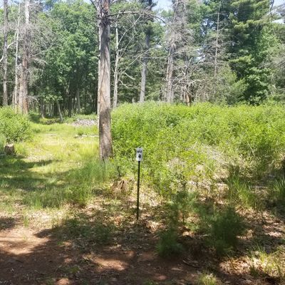 Hole 4 "The Boneyard" is a big dogleg to the right.