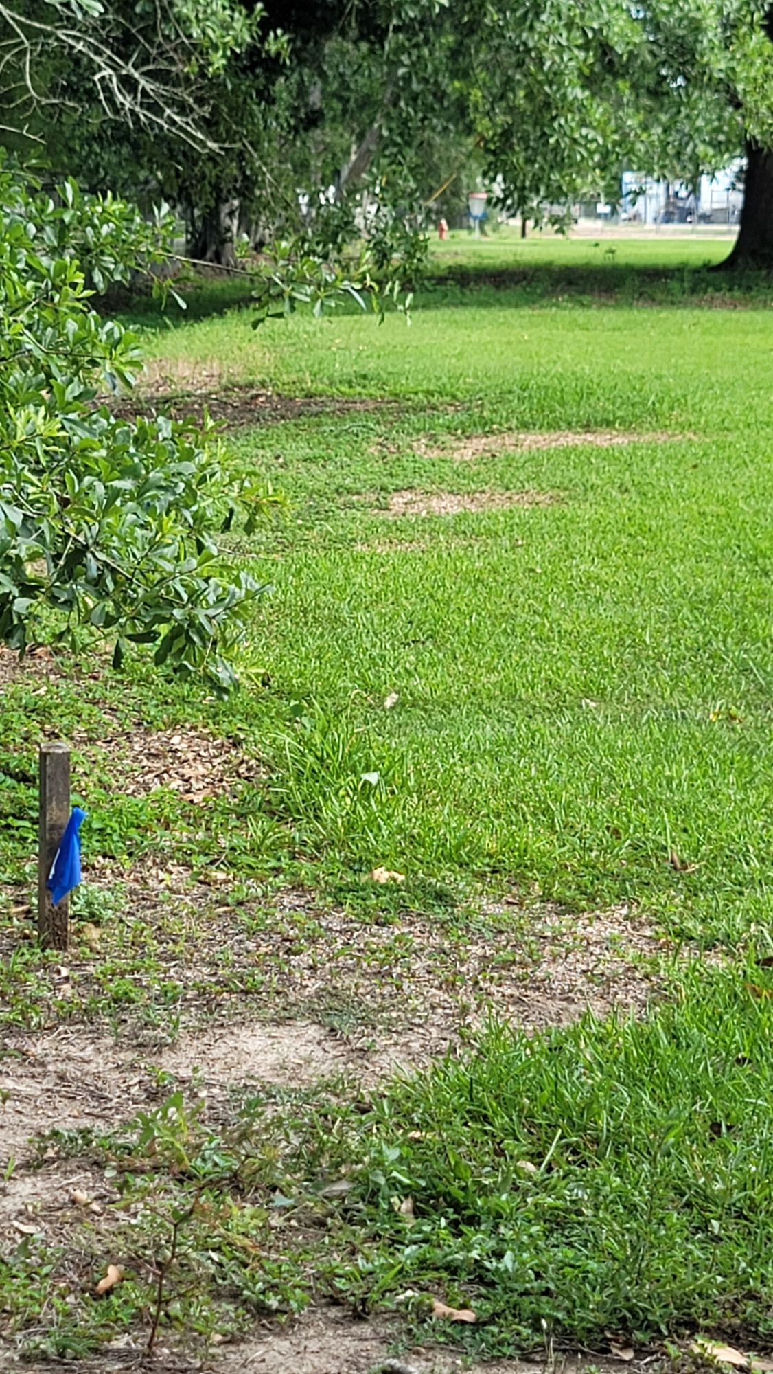 Hole 6.