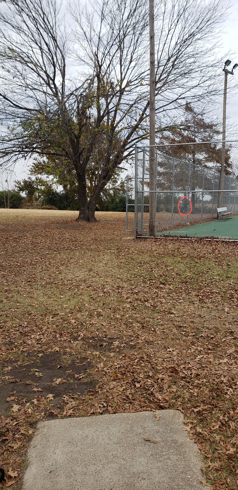 Hole 1