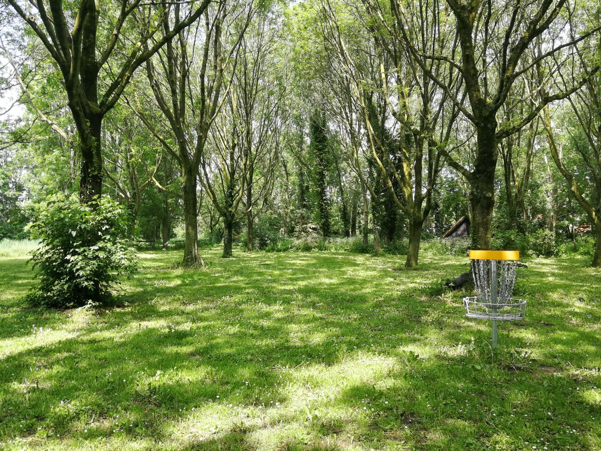 Basket hole 6