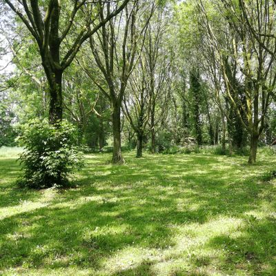 Basket hole 6