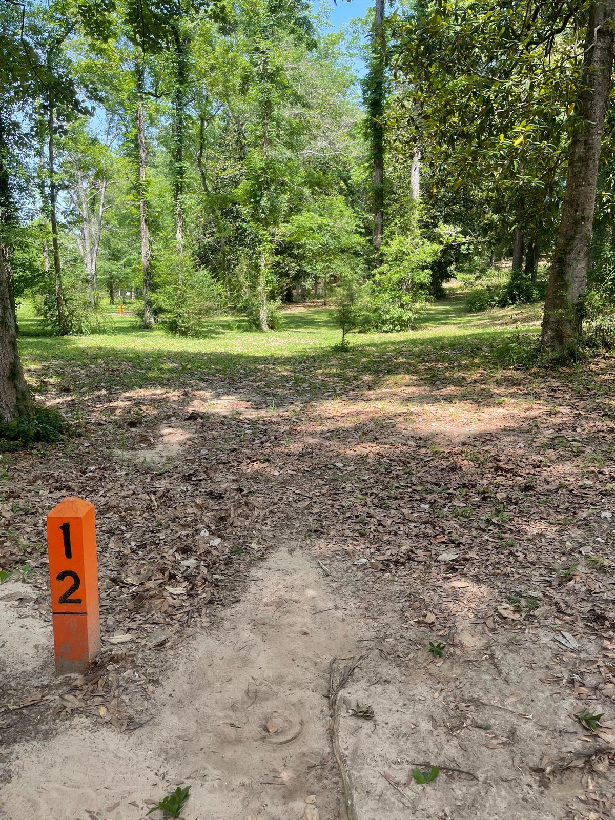 Hole 12