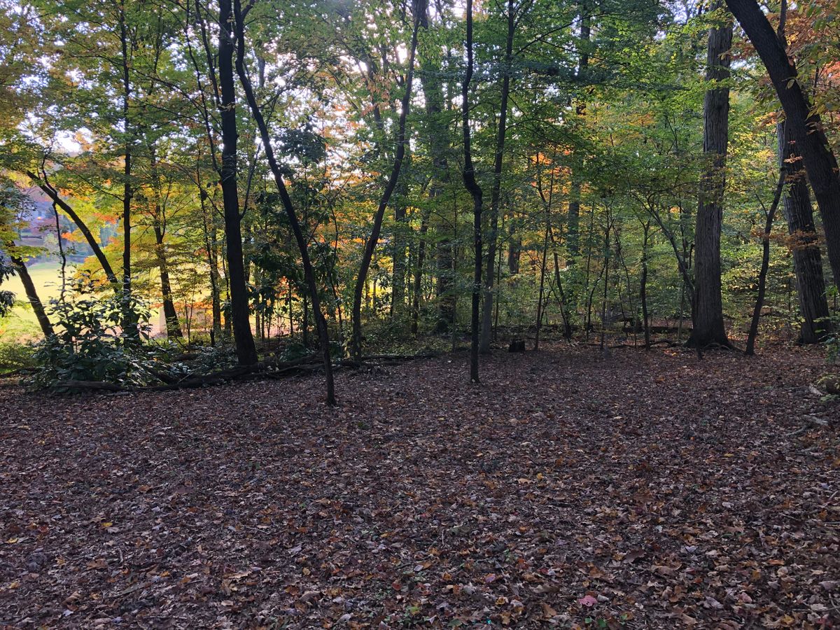 #13 Basket A with view back down Left Demon Black Fairway.