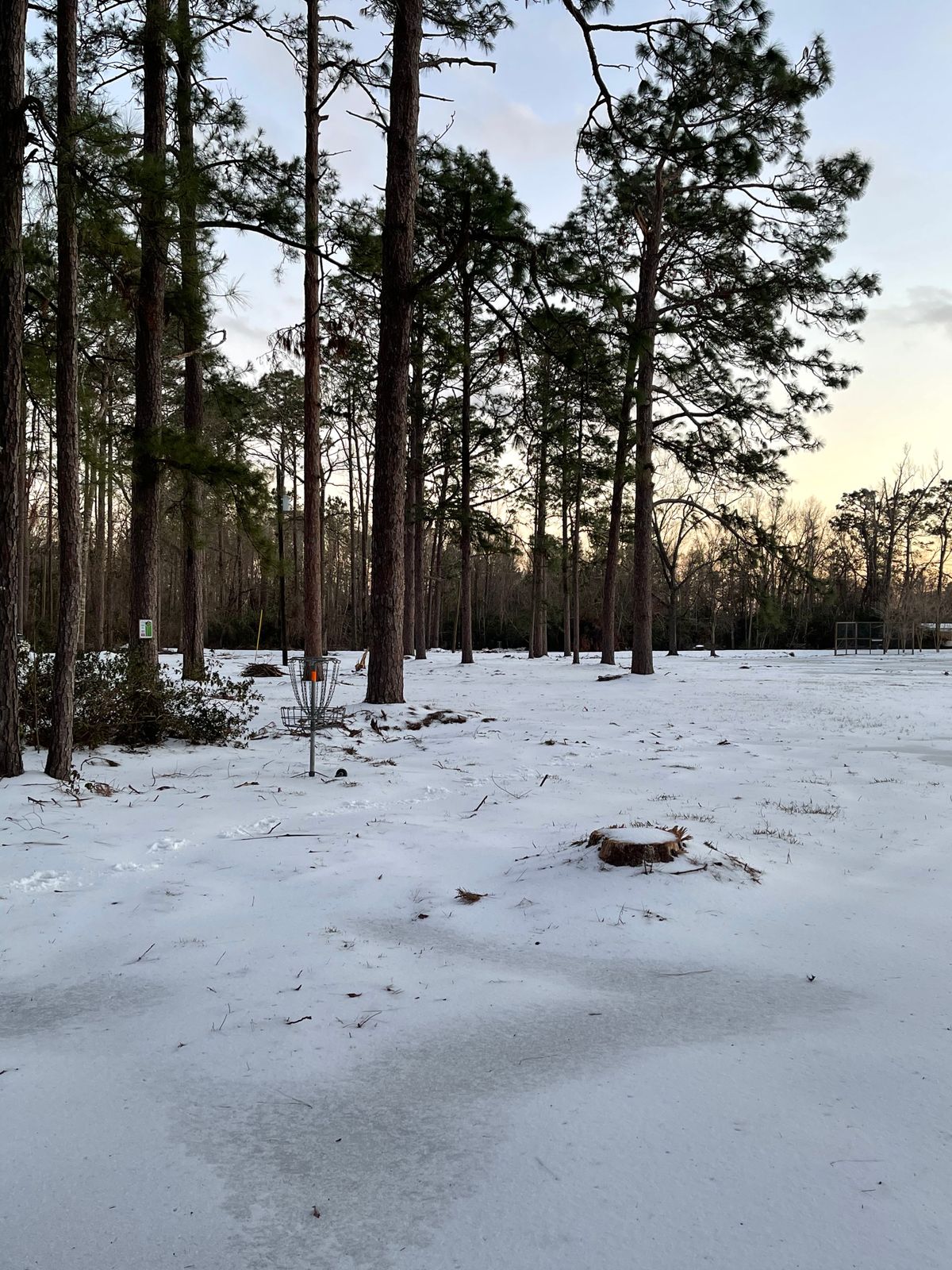 Hole 6 got a little icy