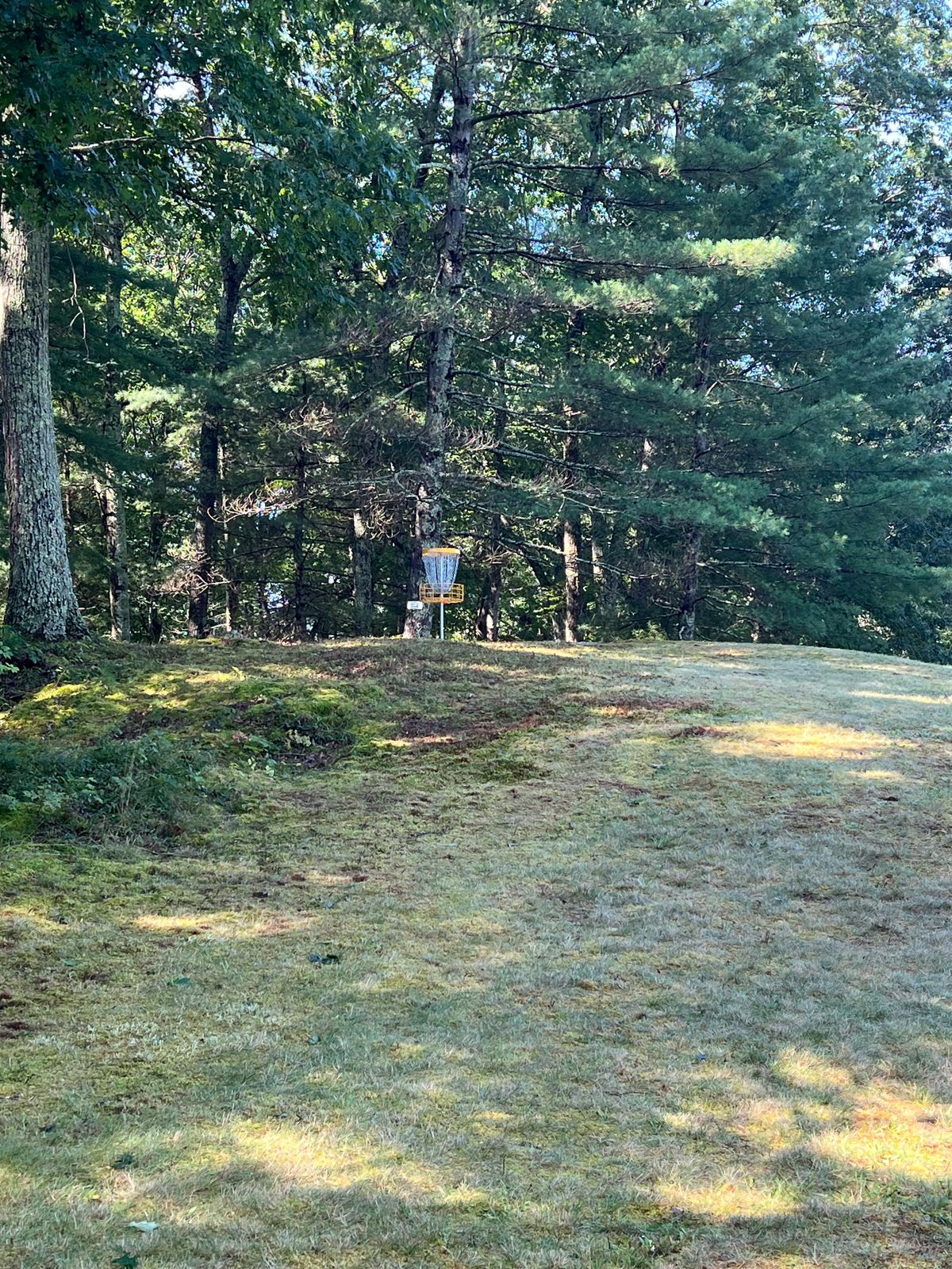 Hole 8 Basket