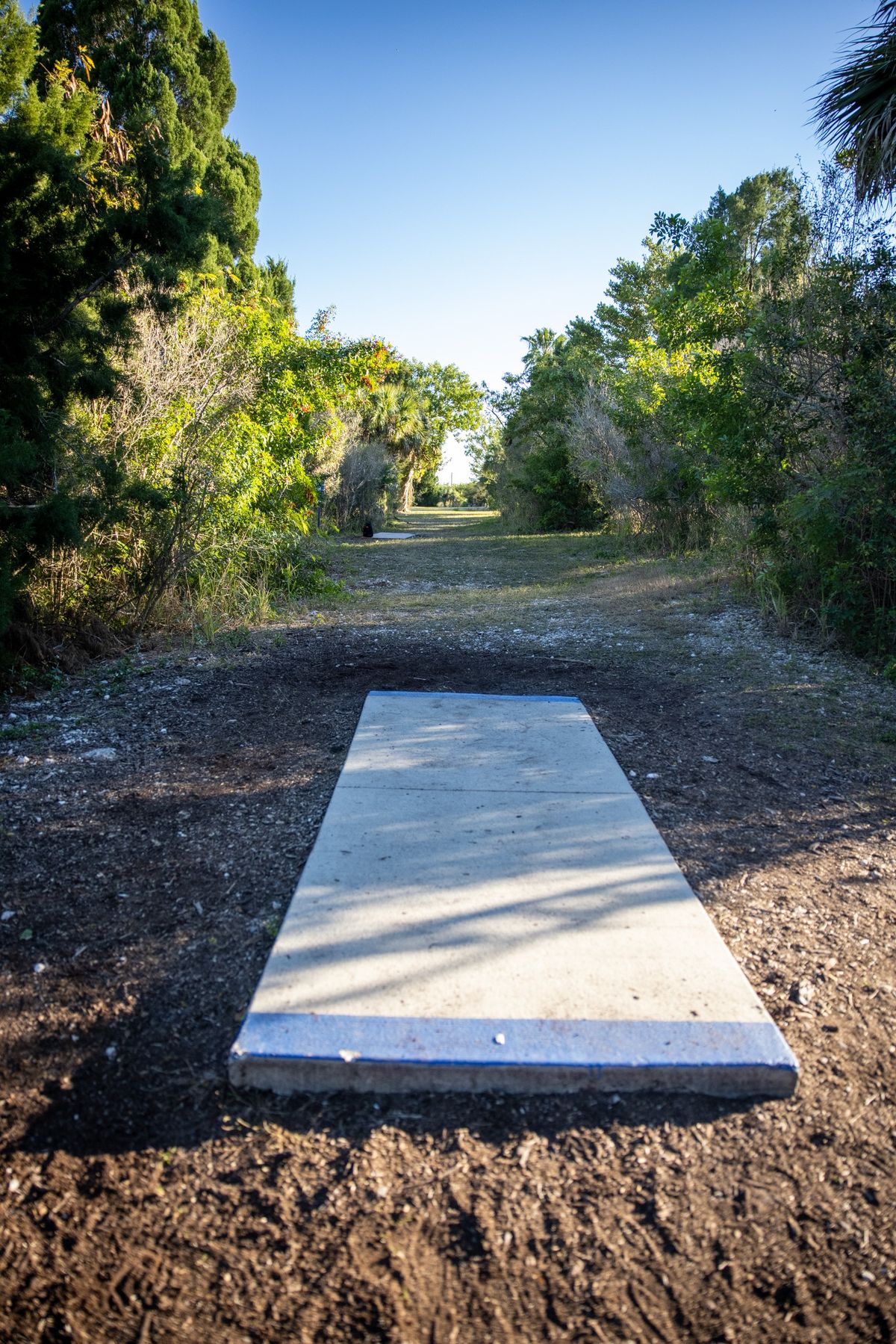 Hole 6 long pads.