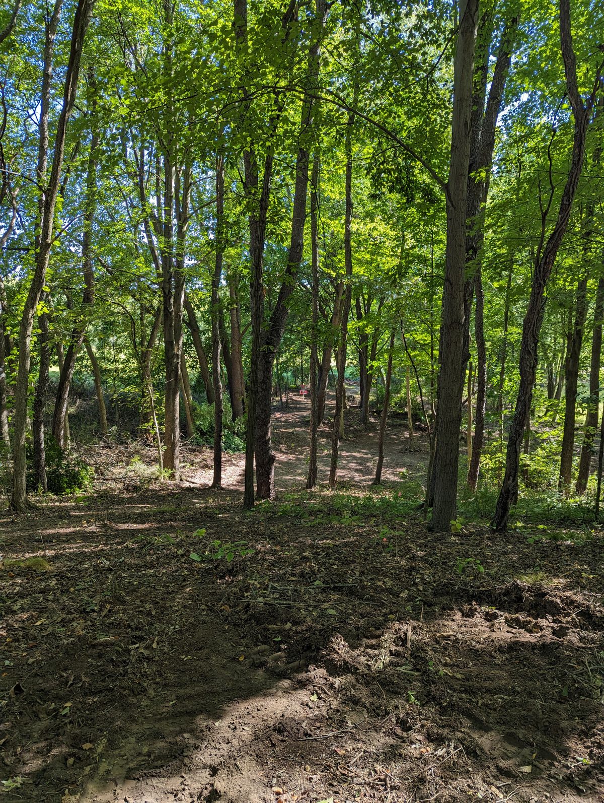 Hole 6 Teepad