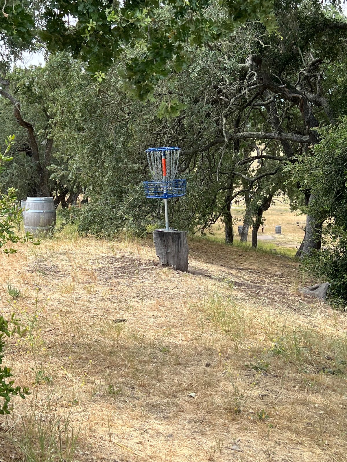 Stumpy is a short, uphill technical shot from the teepad in the background. It’s easy for shots to roll off the hillside into the vines (OB).
