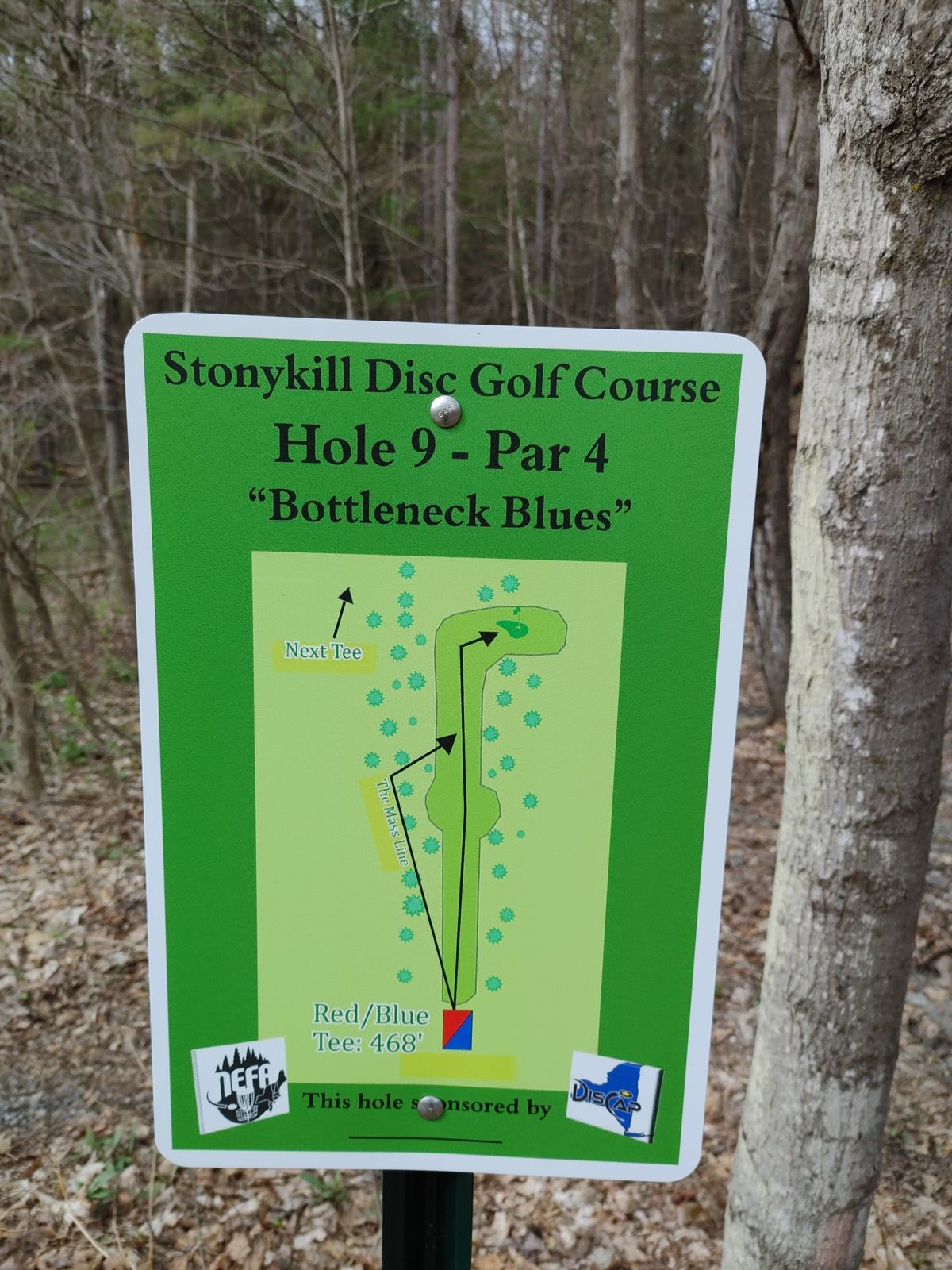 Hole 9 map