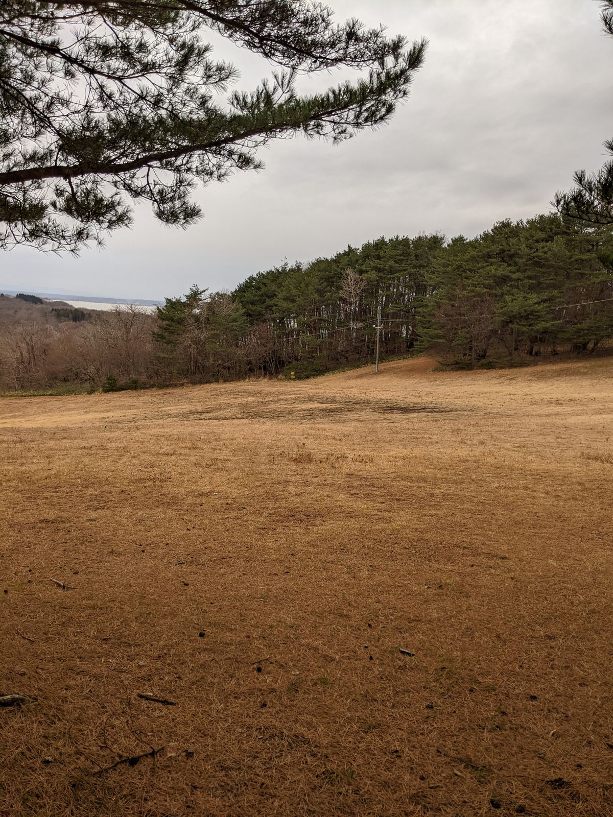 Hole 1